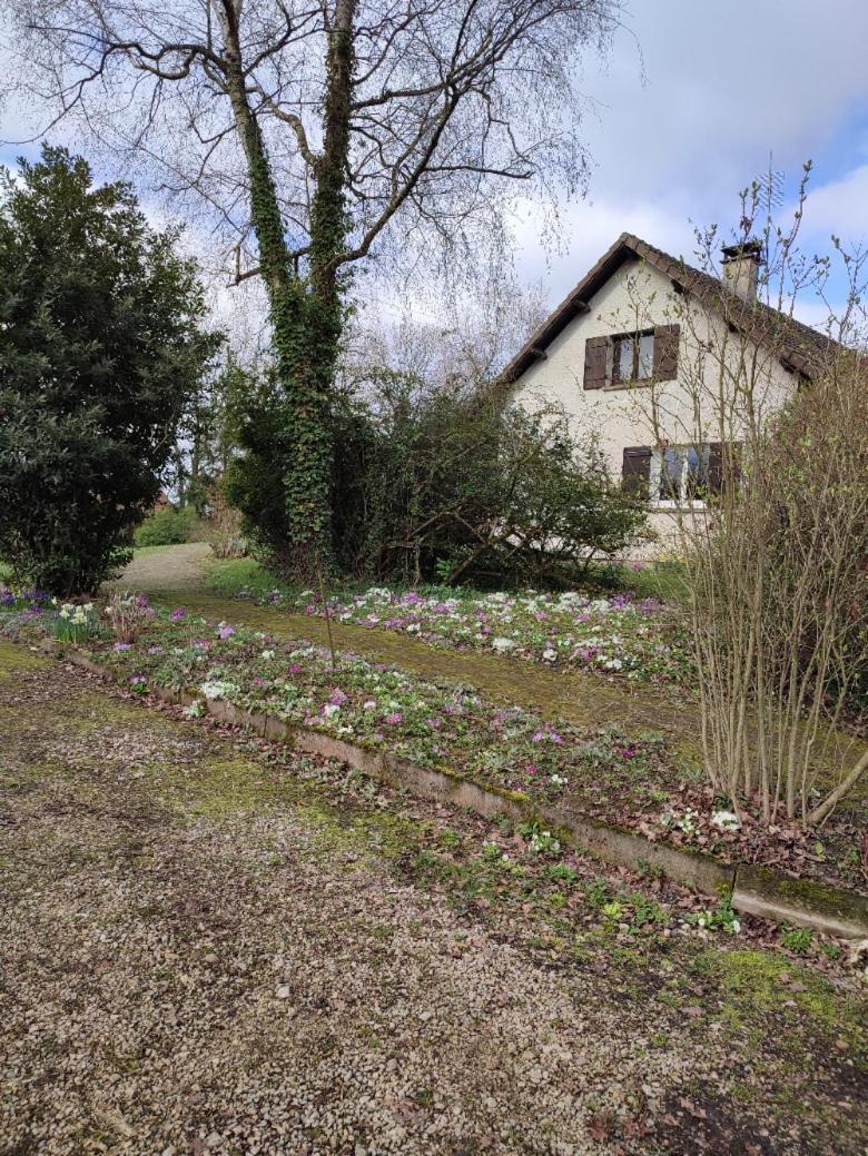 Chambre D'Hotes A La Campagne "Le Coudry" Serley Buitenkant foto